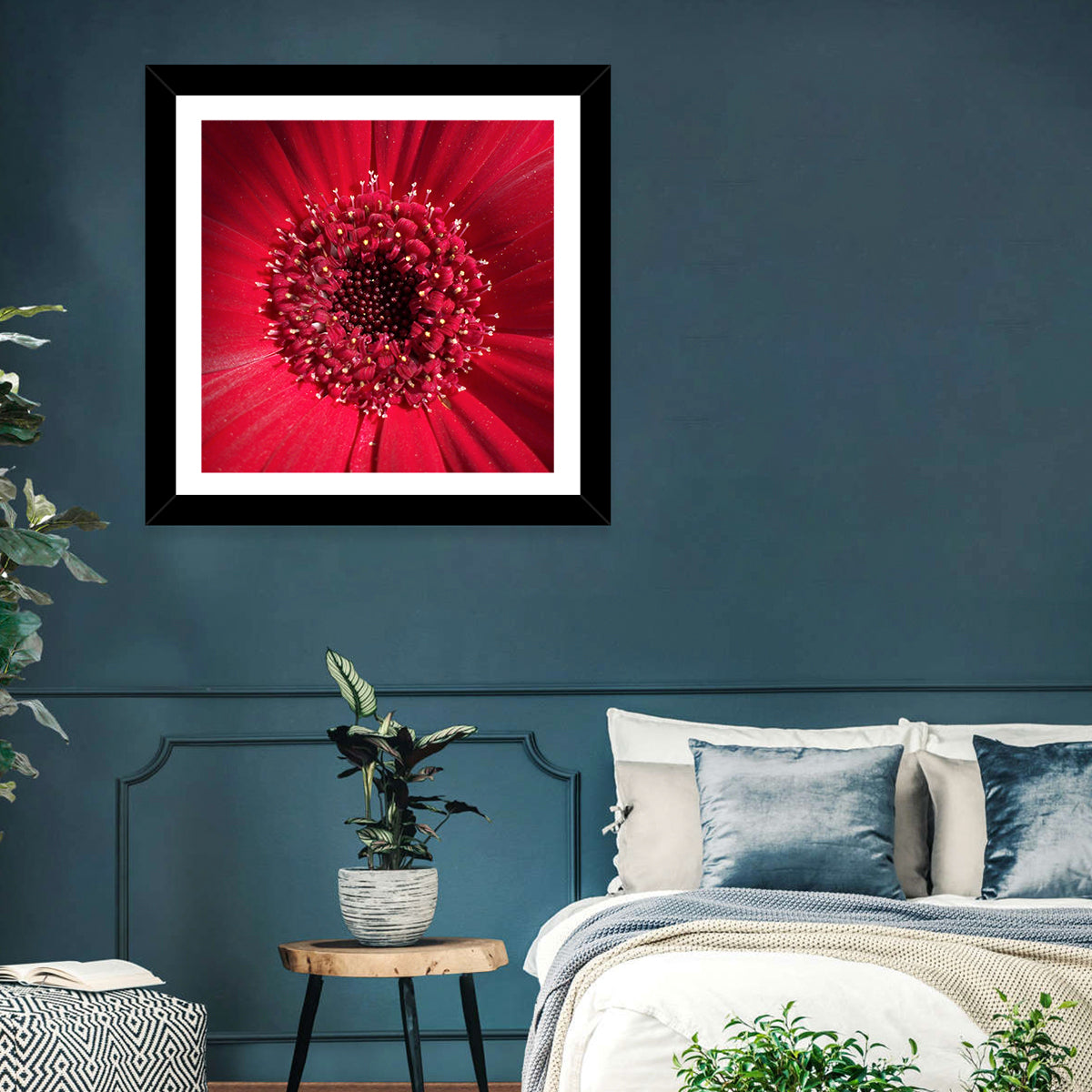 Red Gerbera Daisy Macro Close Up Wall Art
