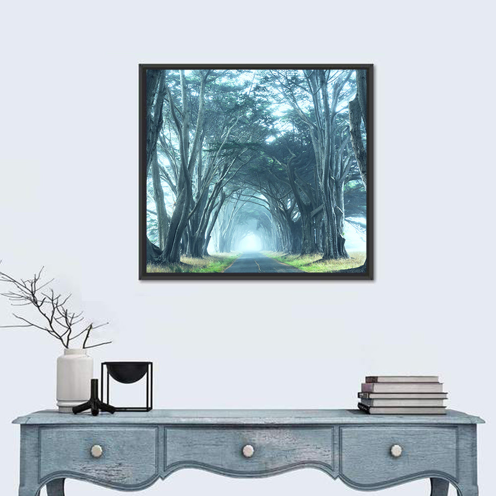 Foggy Cypress Tree Tunnel Wall Art