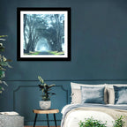 Foggy Cypress Tree Tunnel Wall Art