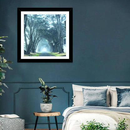 Foggy Cypress Tree Tunnel Wall Art