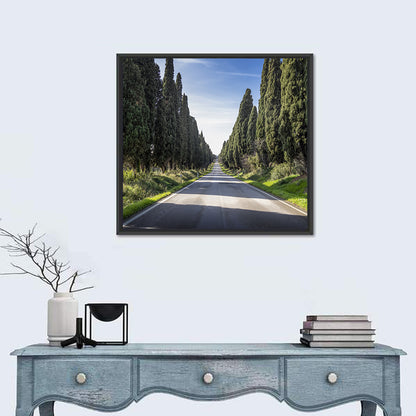 Cypress Trees Avenue Wall Art