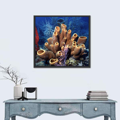 Belize Reef Sponge Scene Wall Art