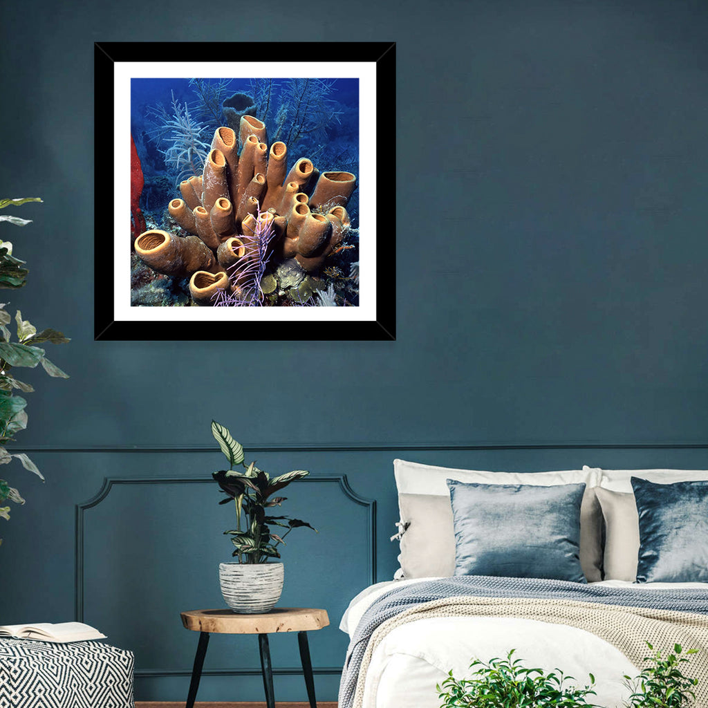 Belize Reef Sponge Scene Wall Art