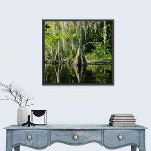 Bald Cypress in Swamp Wall Art