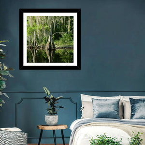 Bald Cypress in Swamp Wall Art