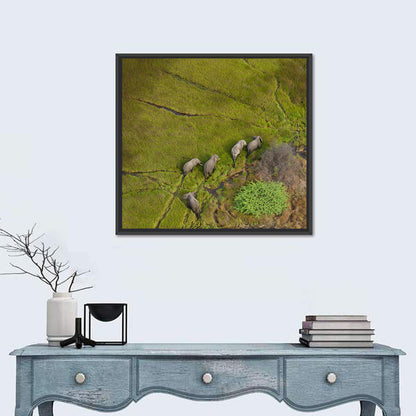 Aerial Herd of Elephants Wall Art