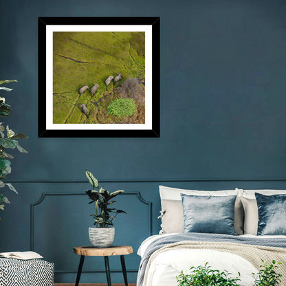 Aerial Herd of Elephants Wall Art