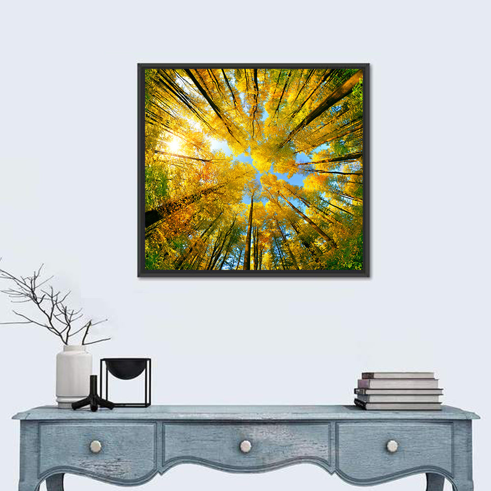 Golden Autumn Canopy Wall Art