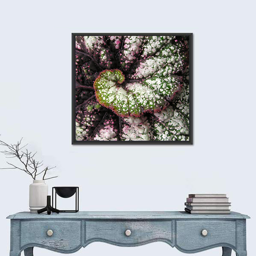 Begonia Leaf Spiral Geometry Wall Art