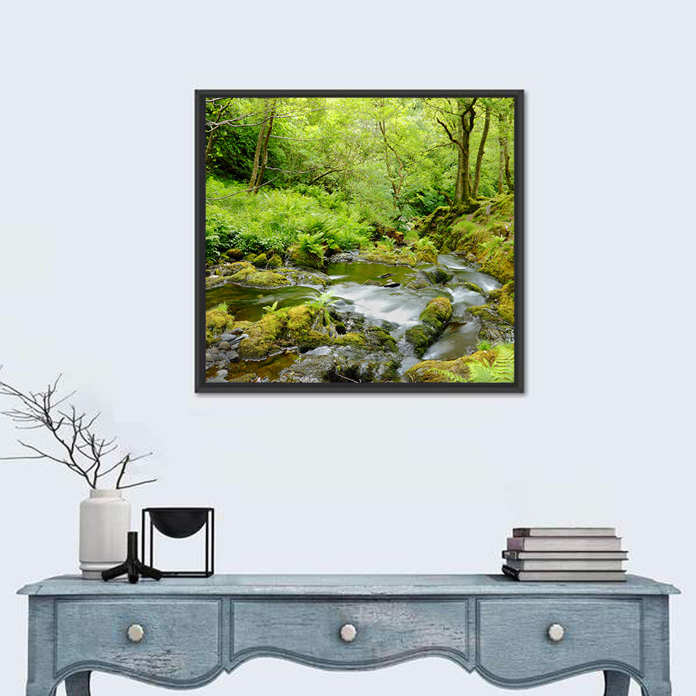Mossy Stream Through Forest Wall Art