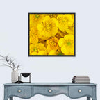 Yellow Buttercup Close-up Wall Art
