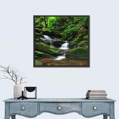 Mossy Rainforest Stream Wall Art