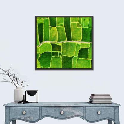 Verdant Rice Terrace Grid Wall Art