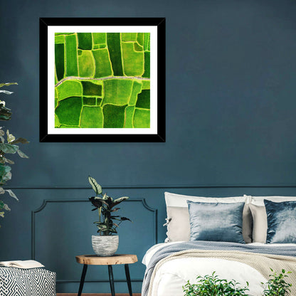 Verdant Rice Terrace Grid Wall Art