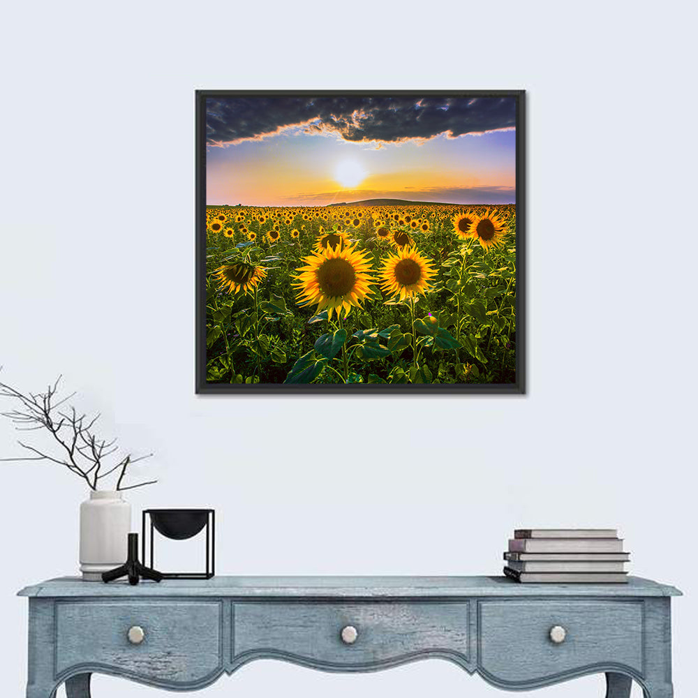 Sunflower Field at Golden Hour Wall Art