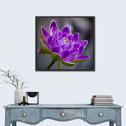 Purple Water Lily Close-up Wall Art