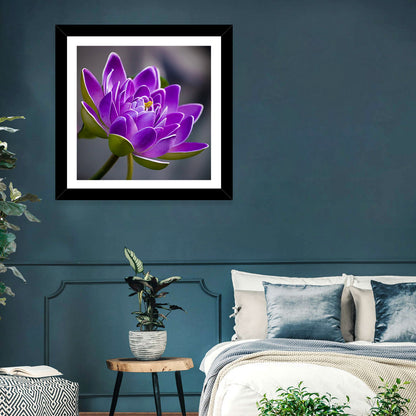 Purple Water Lily Close-up Wall Art