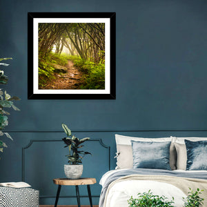 Craggy Gardens Hiking Trail Wall Art