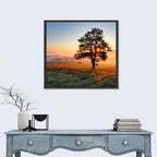 Misty Meadow Sunrise with Lone Tree Wall Art