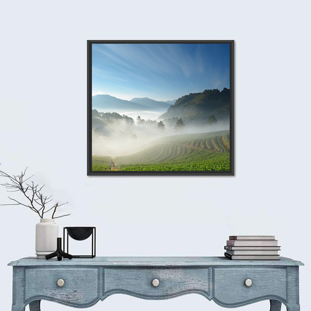 Sunlit Terraced Tea Hills Wall Art