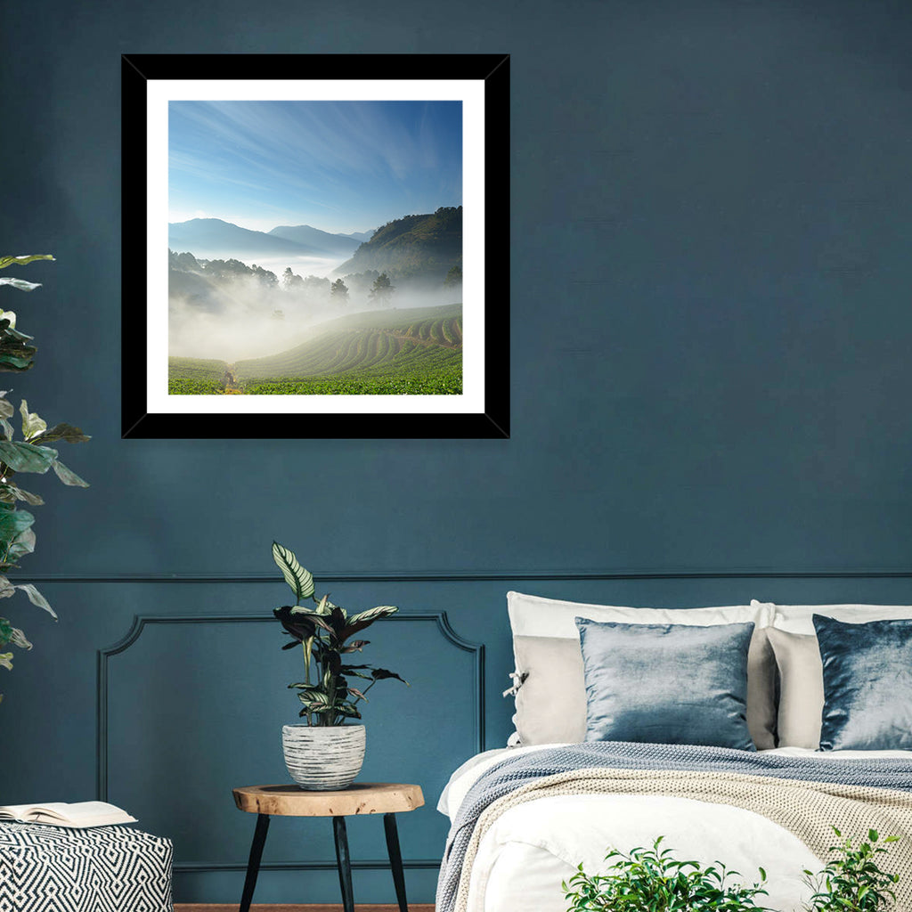 Sunlit Terraced Tea Hills Wall Art