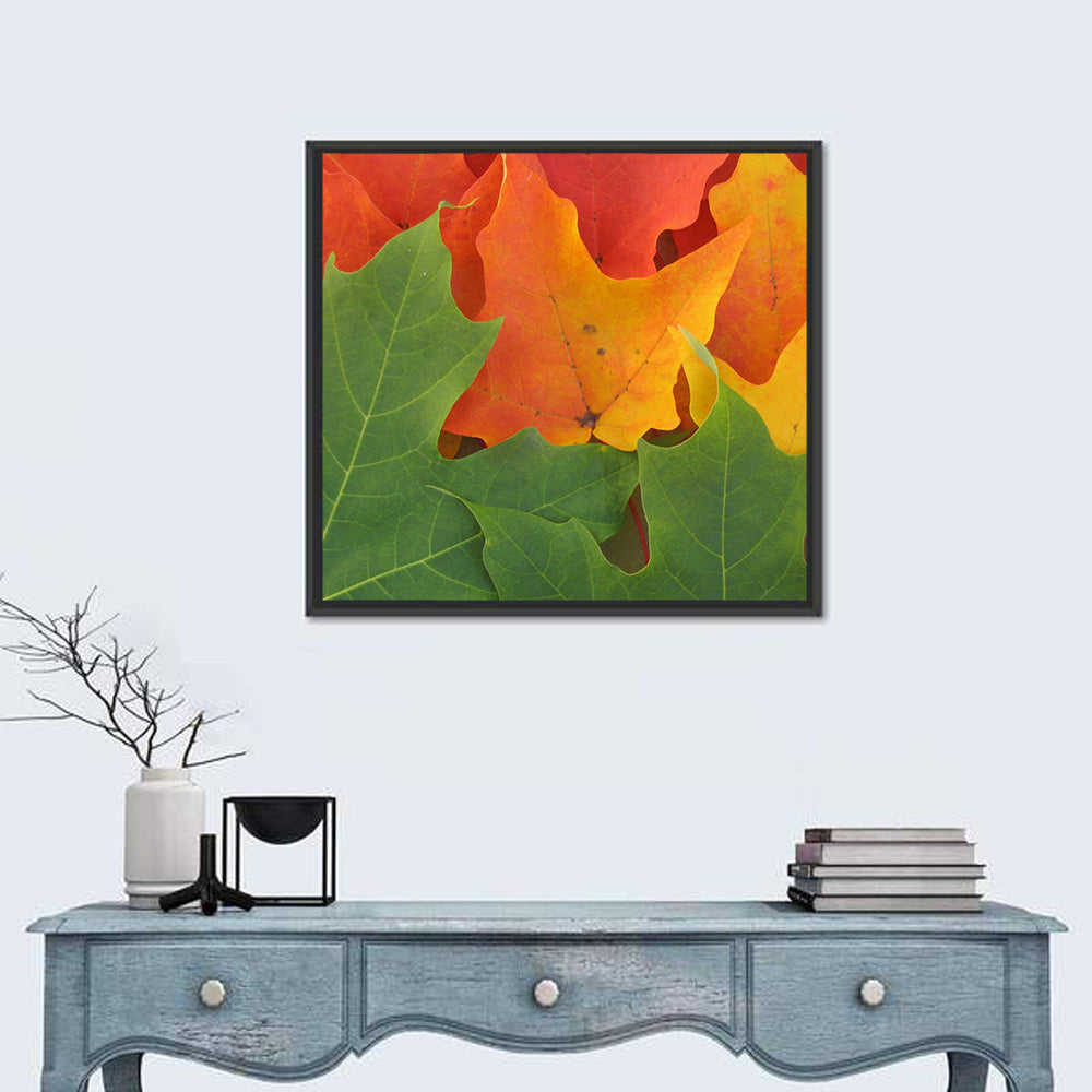 Autumn Maple Leaves Wall Art