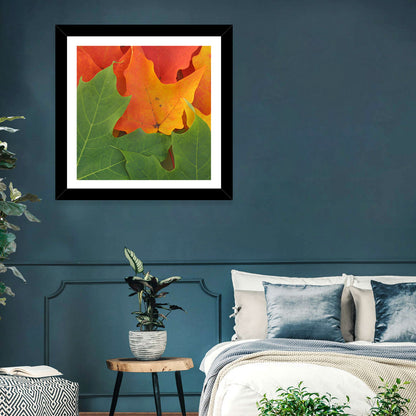 Autumn Maple Leaves Wall Art