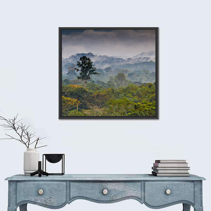 Guinea Rainforest Landscape Wall Art