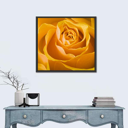 Yellow Rose Close-up Wall Art
