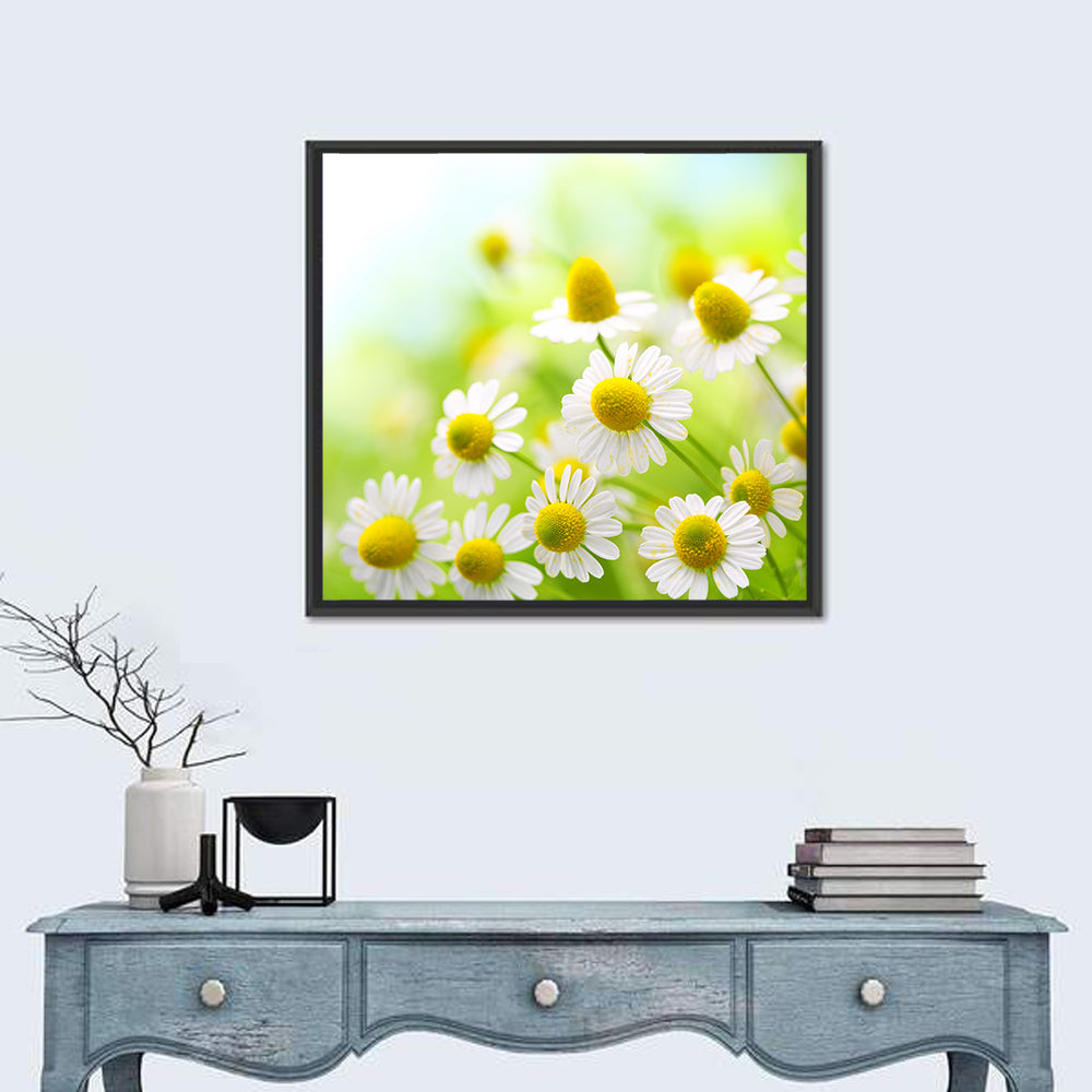 Chamomile Close-up Wall Art