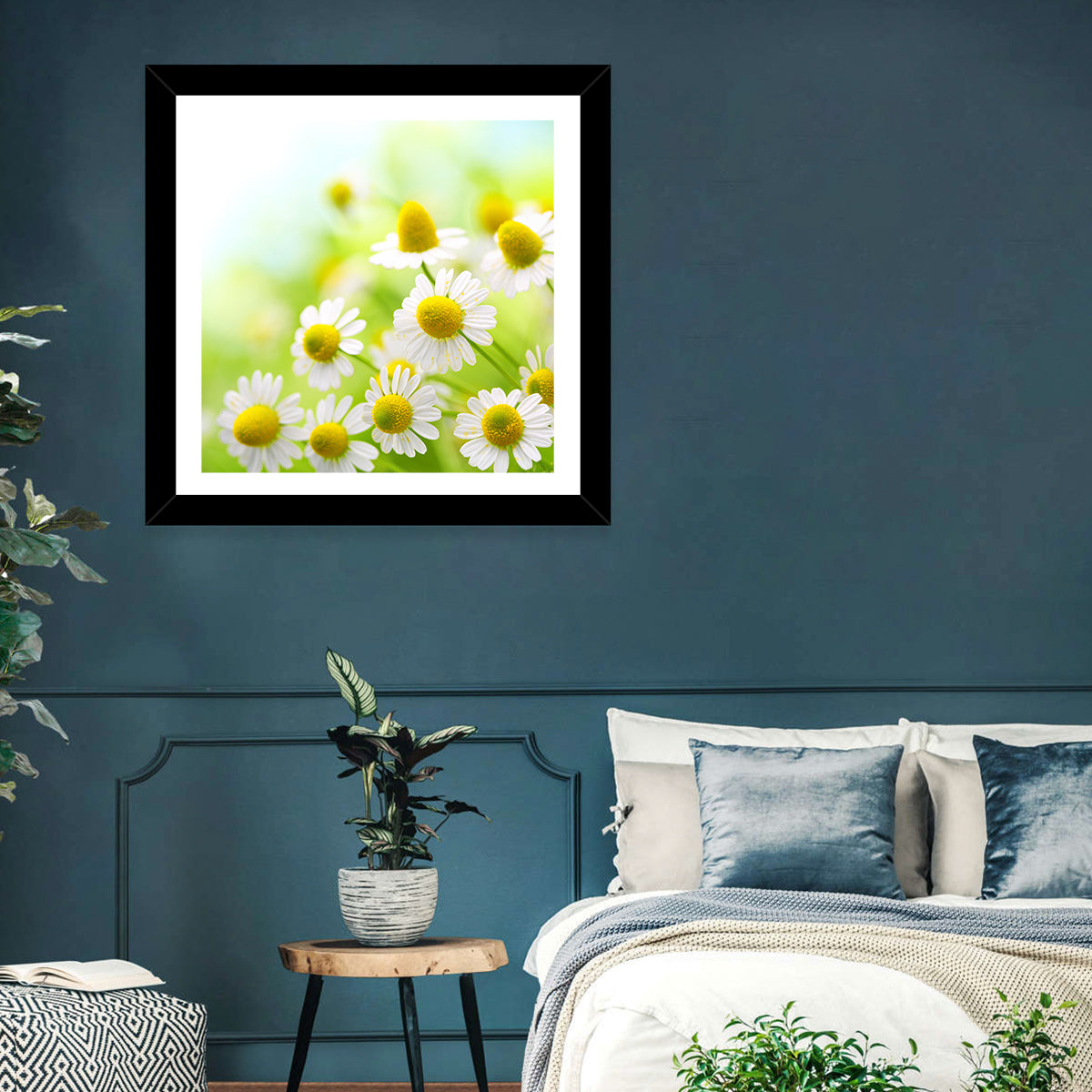 Chamomile Close-up Wall Art
