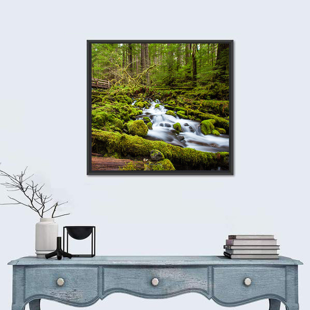 Mossy Cascade Forest Stream Wall Art