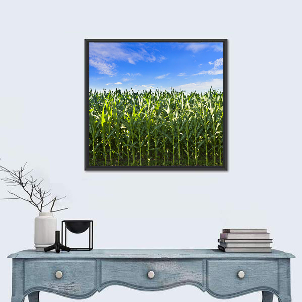 Green Corn Field Wall Art in a room, square