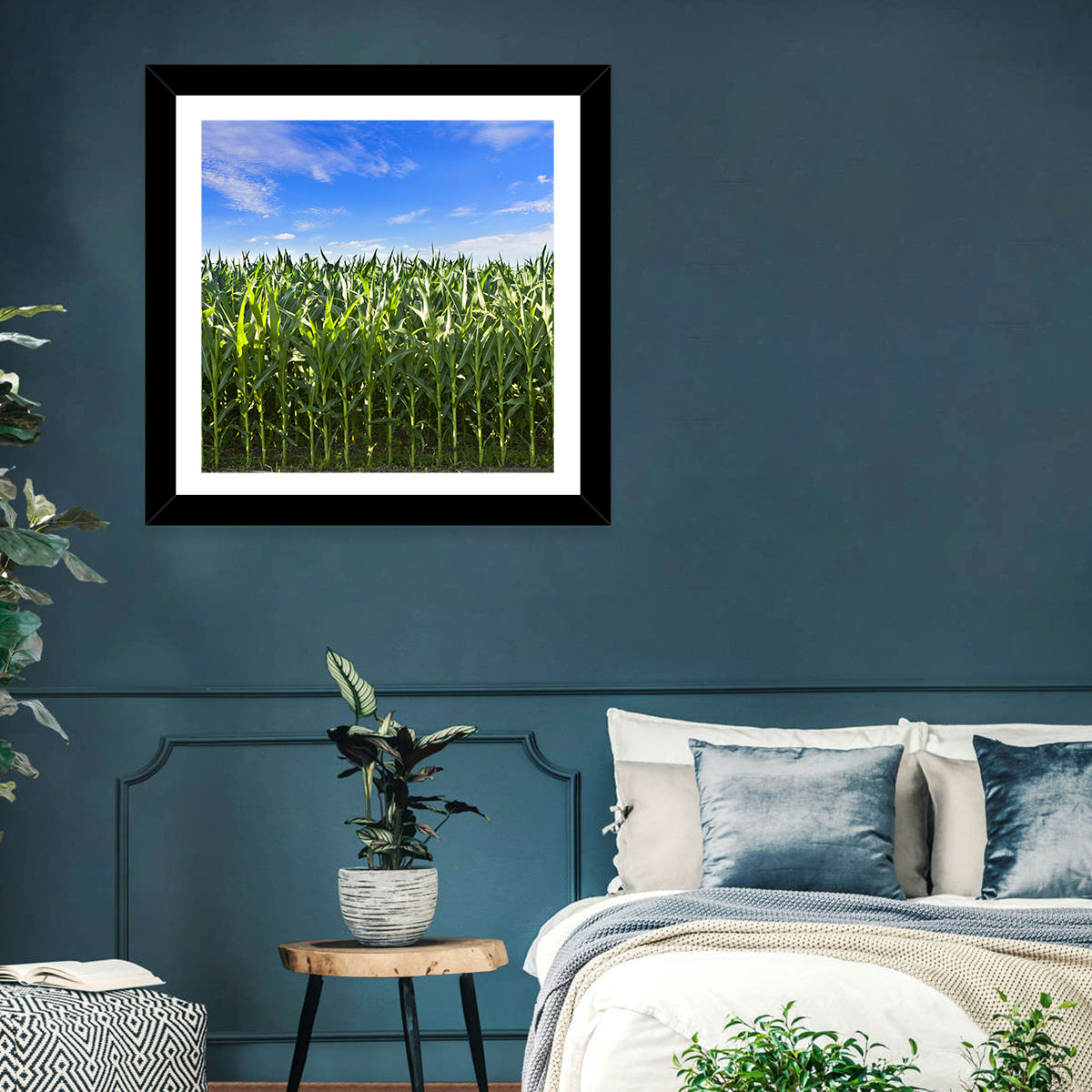 Green Corn Field Wall Art in a room, square
