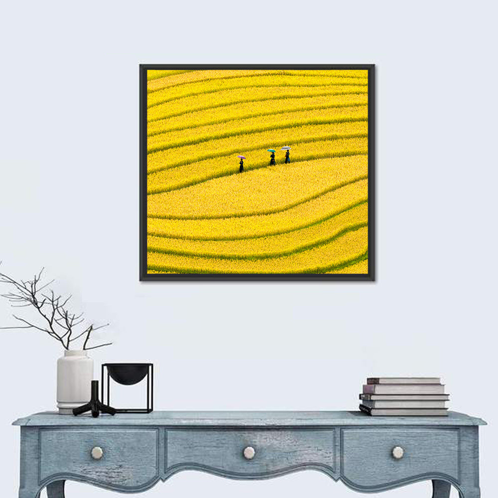 Golden Rice Terraces with Umbrellas Wall Art