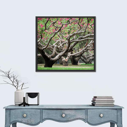 Peach Orchard in Bloom Wall Art