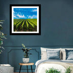Luxembourg Vineyards Wall Art
