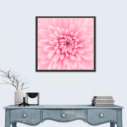 Pink Chrysanthemum Close-up Wall Art