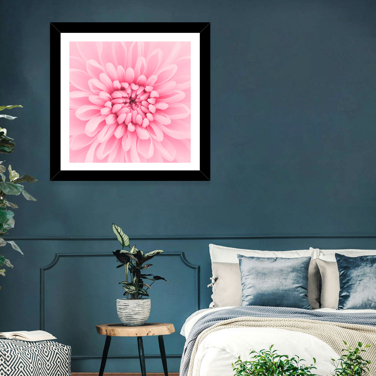 Pink Chrysanthemum Close-up Wall Art