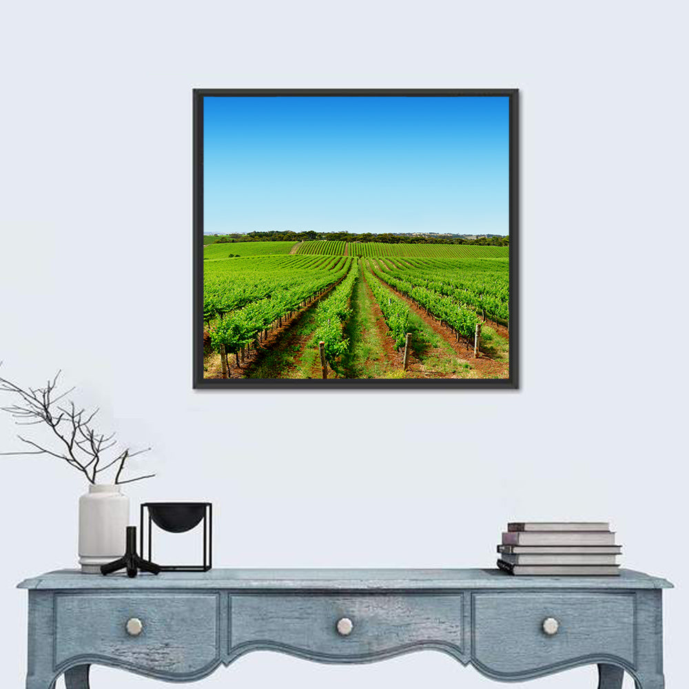 Sunlit Vineyard Rows Wall Art