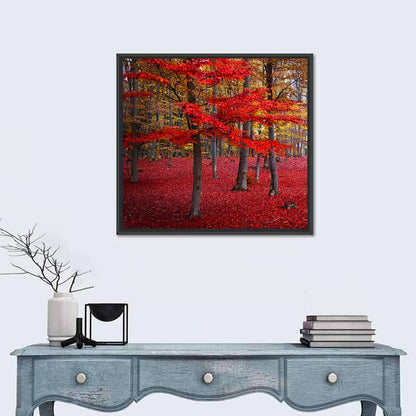 Crimson Autumn Forest Wall Art