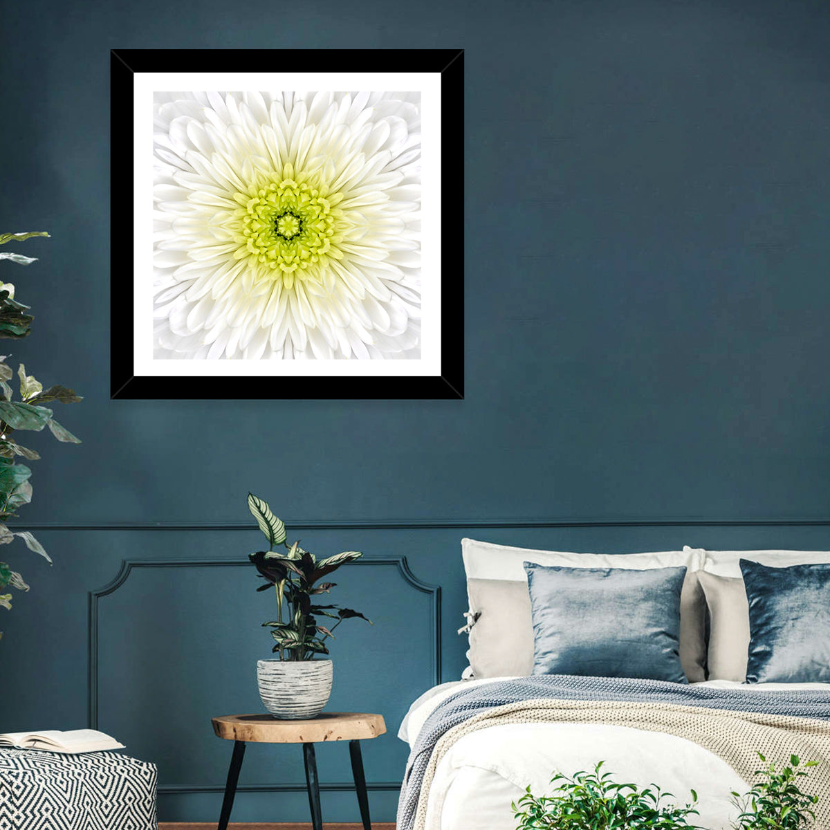 White Chrysanthemum Mandala Close Up Wall Art