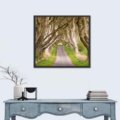 Dark Hedges, Northern Ireland Wall Art