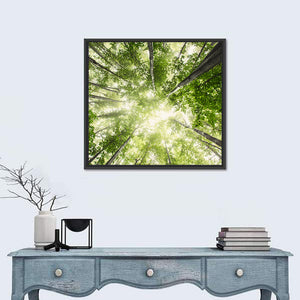 Misty Spring Forest Wall Art