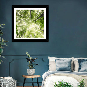 Misty Spring Forest Wall Art