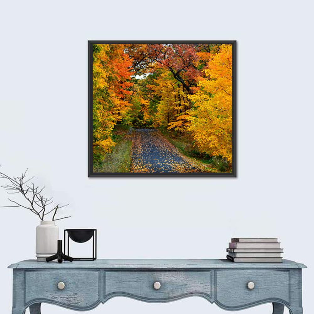 Autumn Road Through Wisconsin Park Wall Art