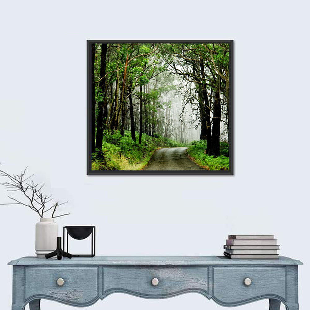 Misty Eucalyptus Road Wall Art