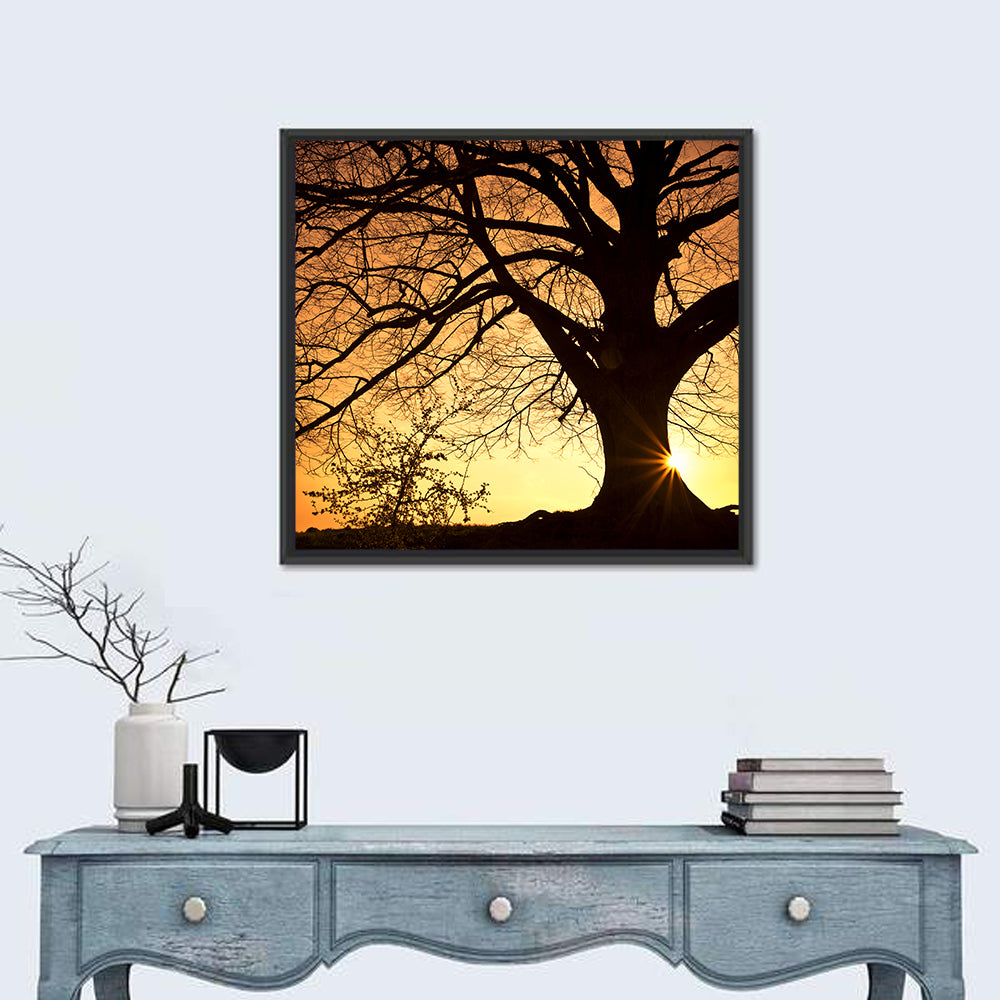 Willow Tree Sunset Wall Art