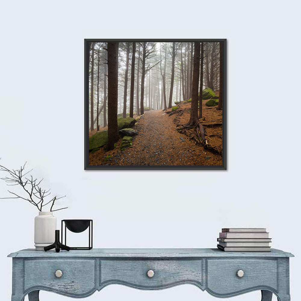 Misty Appalachian Trail Path Wall Art