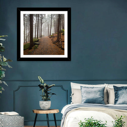 Misty Appalachian Trail Path Wall Art